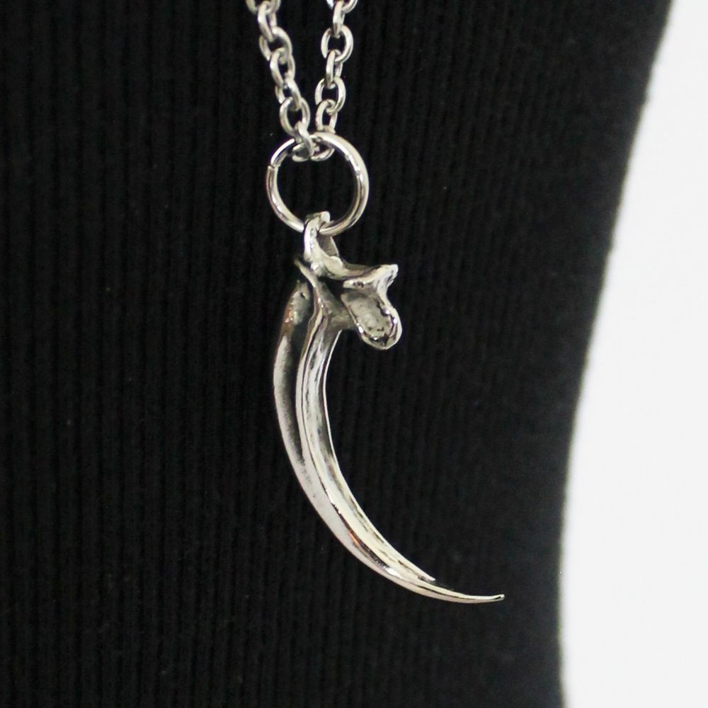 NEW Moon Raven Eagle Talon Claw Solid Stainless Steel Pendant Necklace 32" - Picture 8 of 11
